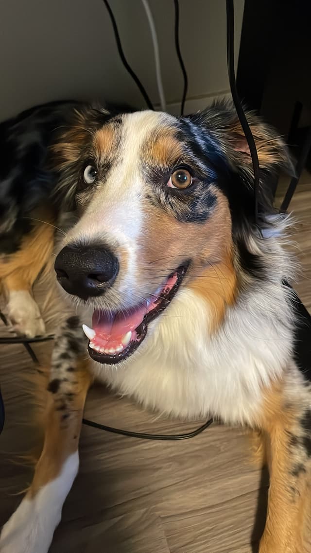 Copper